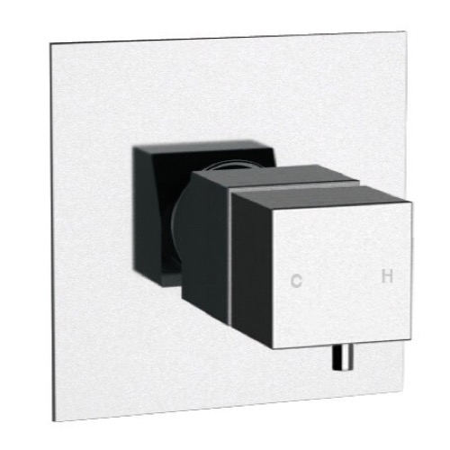 Wall-Mounted Built-In Thermostatic Mixer, Rough-In Valve Included Remer QT30US